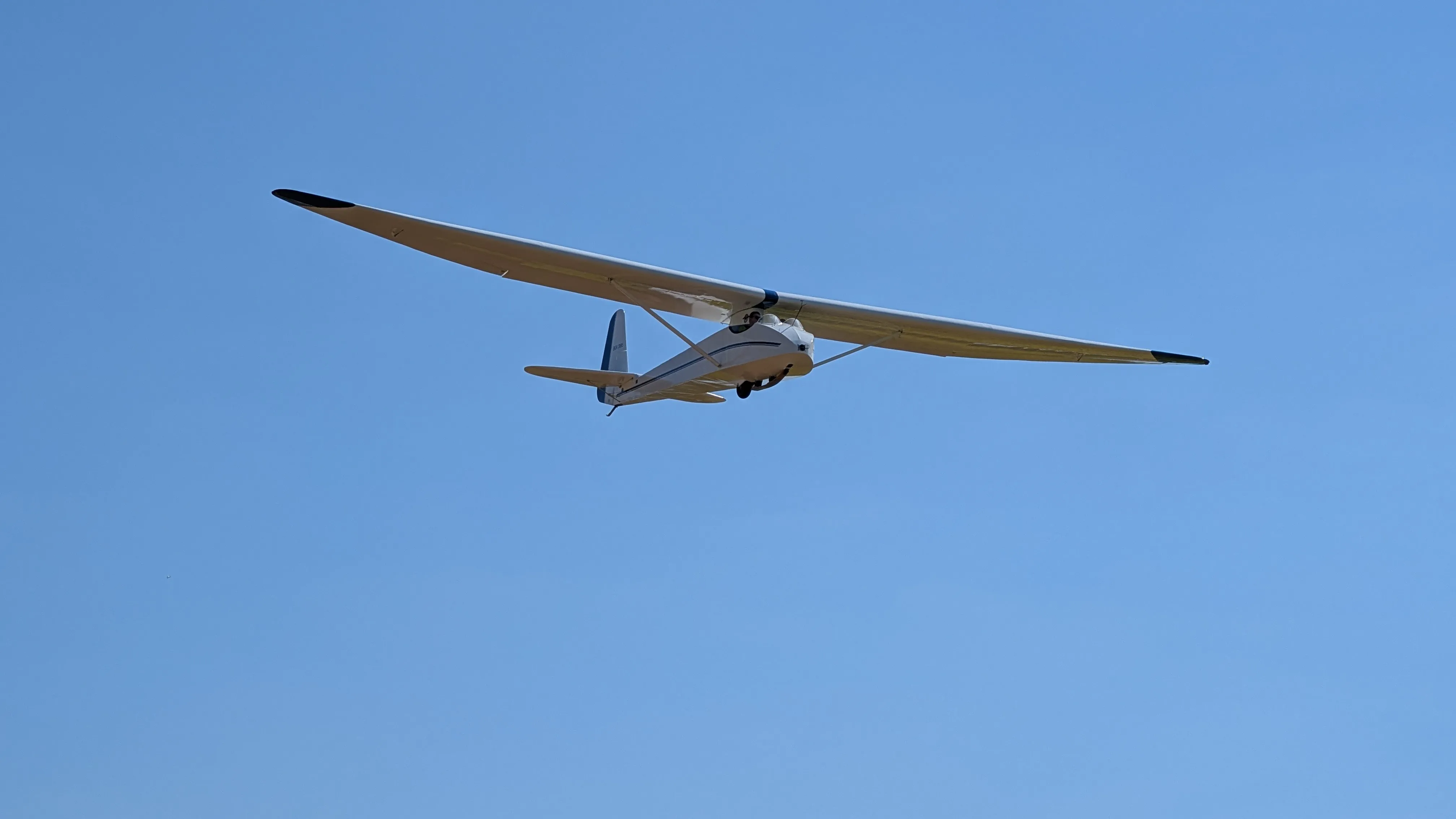 VGC 2025 Impression 1